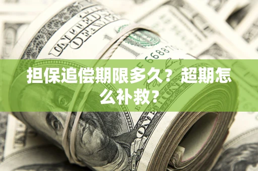 济南担保追偿期限多久？超期怎么补救？