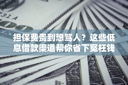 济南担保费贵到想骂人？这些低息借款渠道帮你省下冤枉钱