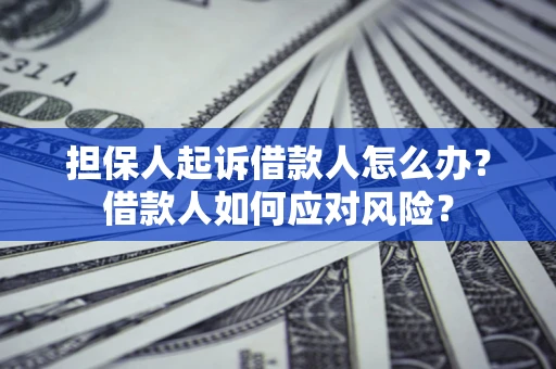济南担保人起诉借款人怎么办？借款人如何应对风险？